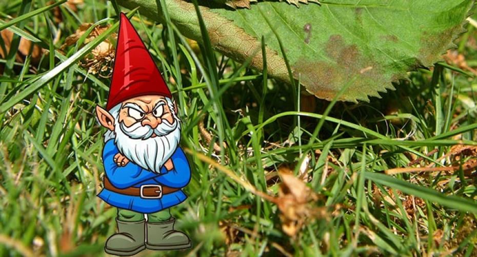 Ten Gardening Mistakes By Gnarley Gnome