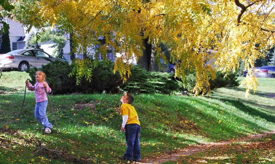 How do we engage children with the outdoor environment?