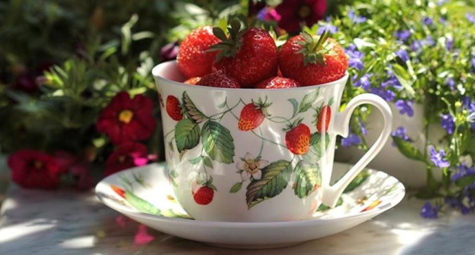 Growing strawberries In containers and the ground