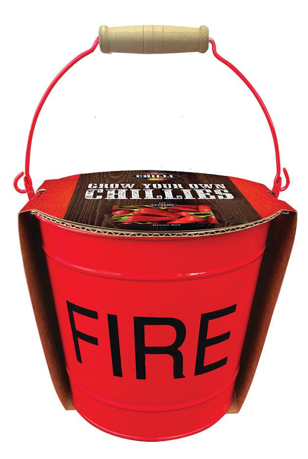 DP82 Chilli Fire Bucket.jpg