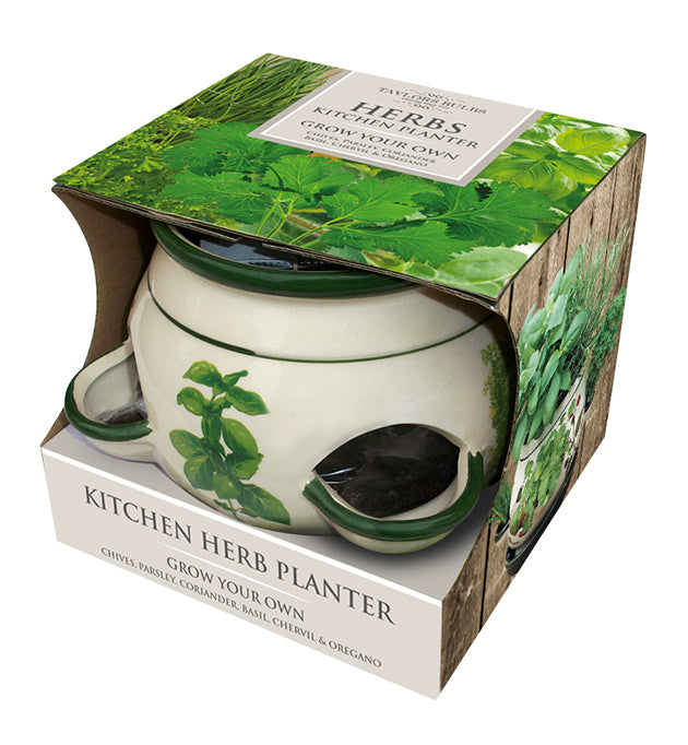 DP94 Kitchen Herb Pot.jpg