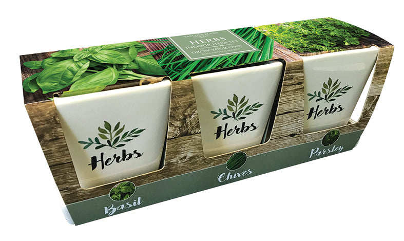 DP96 Windowsill Herbs Pots.jpg