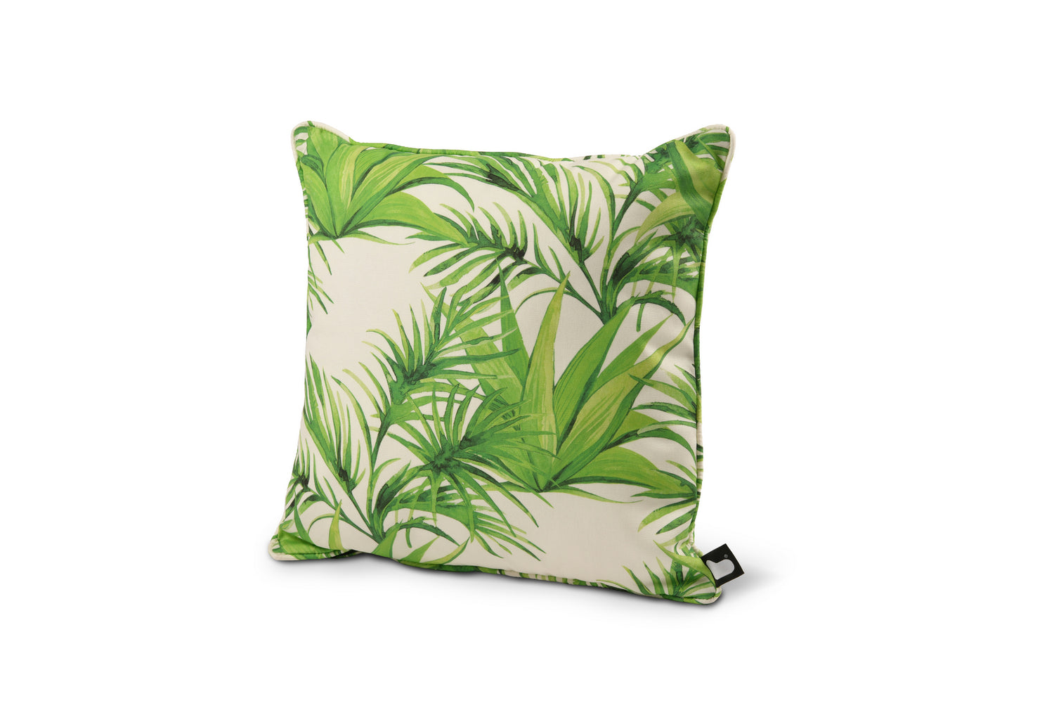 b cushion palm.jpg