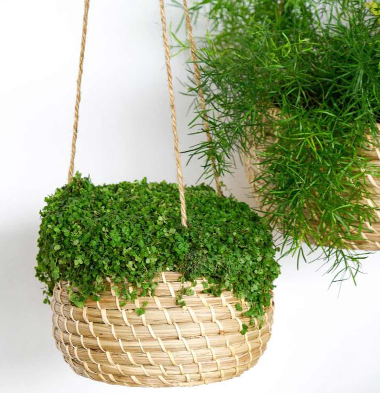 seagrass-hanging-planter-2-kkk.jpg
