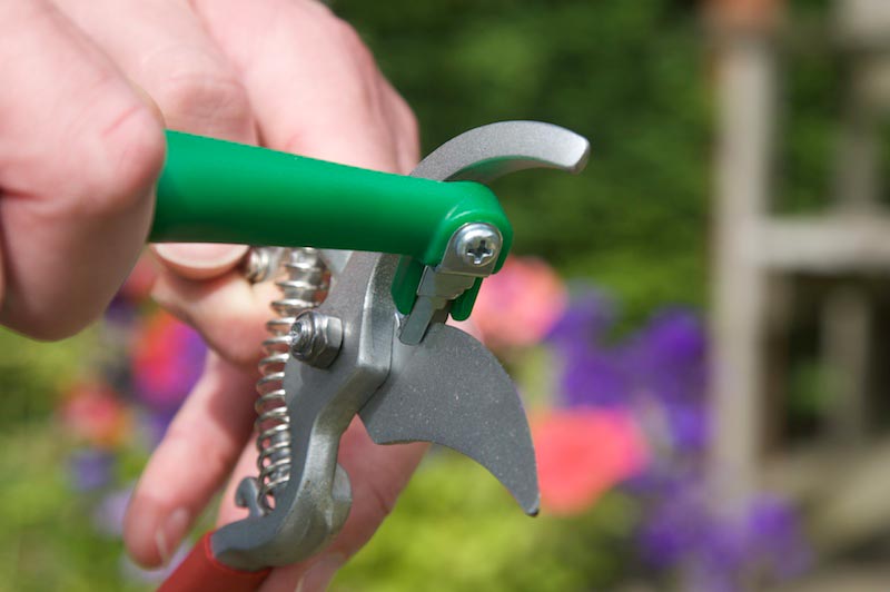 tool-sharp-creative-garden.jpg