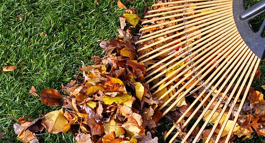 How To Care For Your Lawn In Autumn