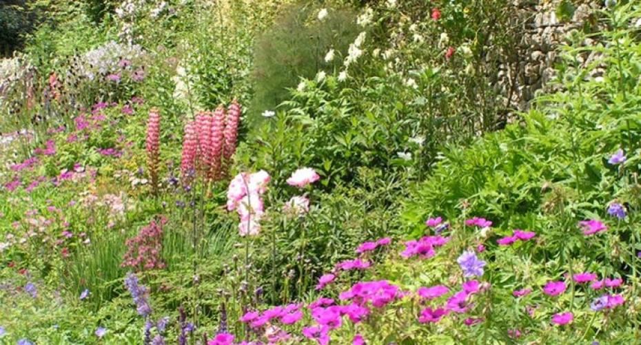 How to prepare a new herbaceous border or bed