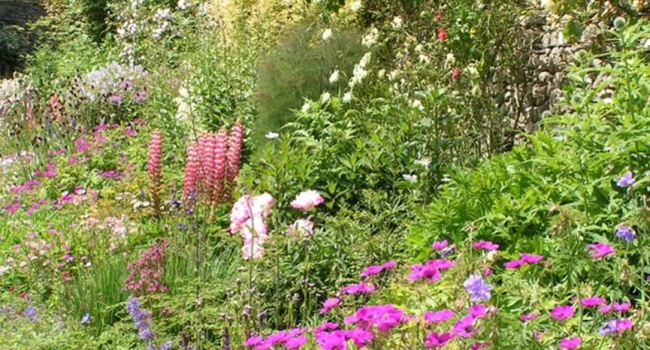 How To Add Height To Your Herbaceous Border