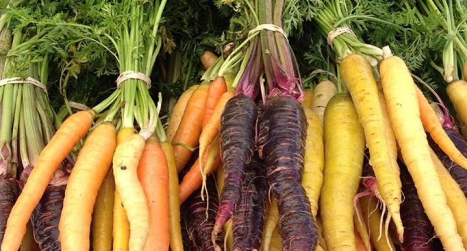 How To Sow Carrots In The Ground And In Containers