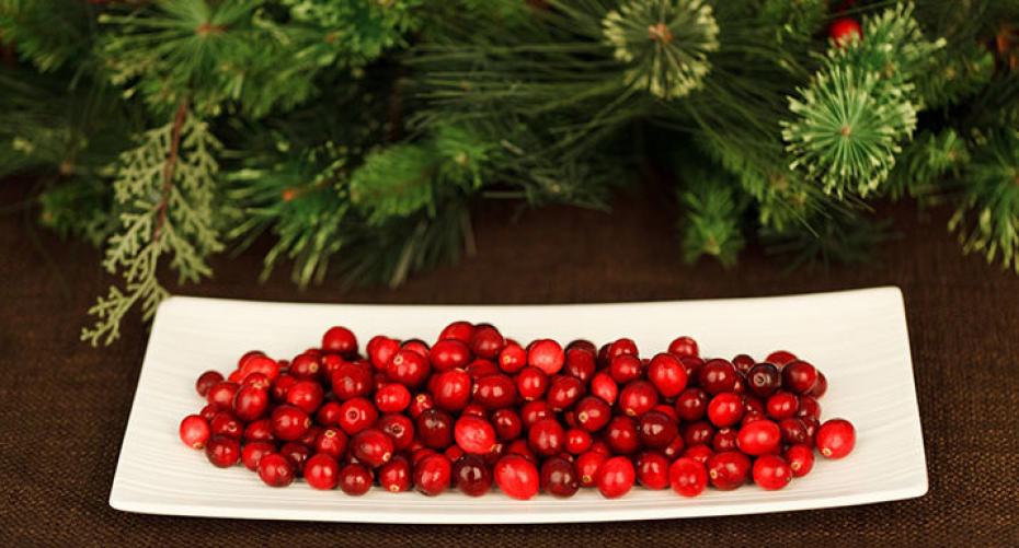 How To Grow Cracking Cranberries