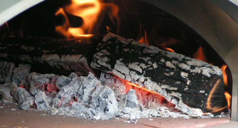 What Kind Of Wood Does An Alfa Wood Fired Oven Take?