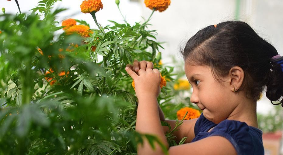 Easy plants for kids to grow