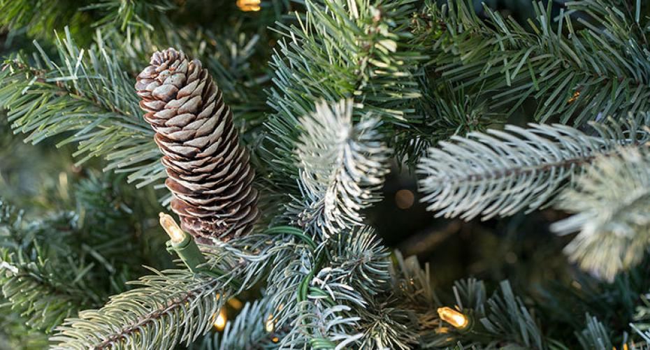 Frosted Colorado Spruce Artificial Christmas Tree