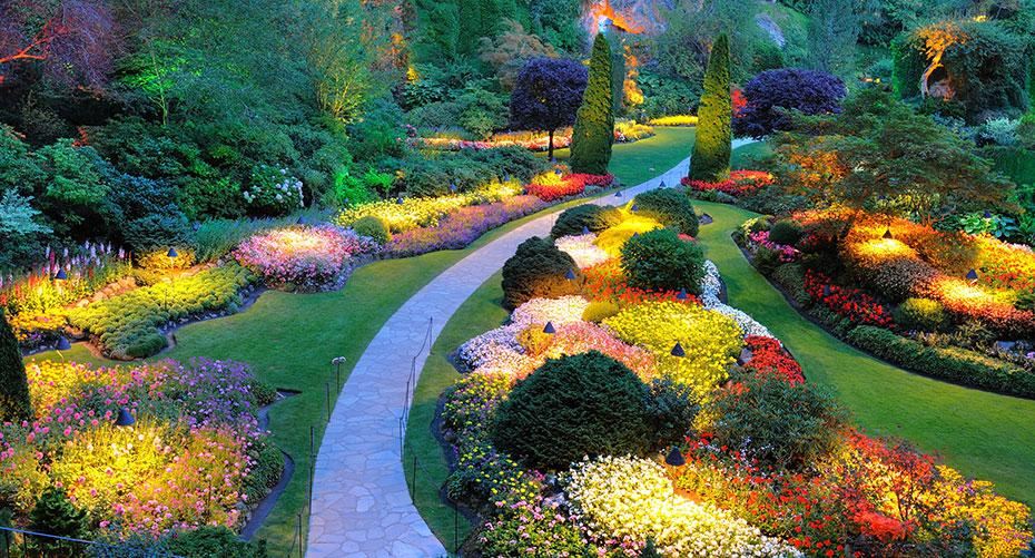 How To Light Your Garden