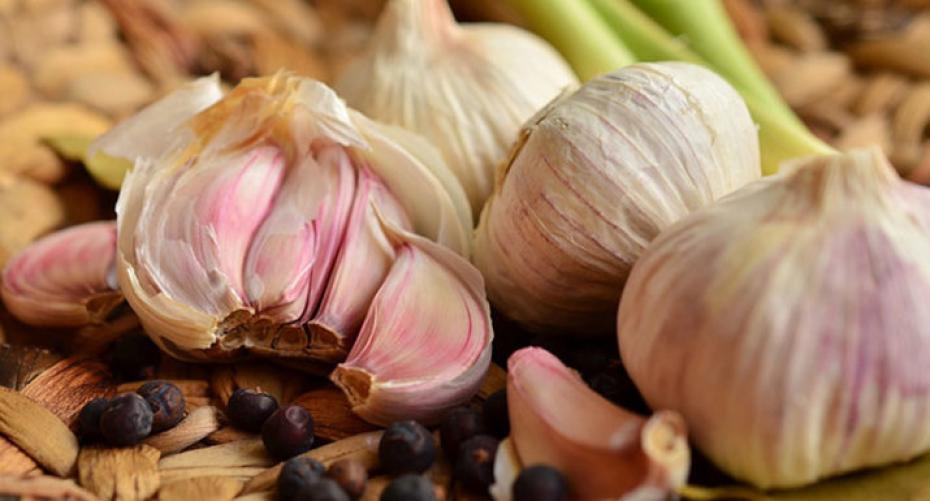 How And When To Plant Garlic