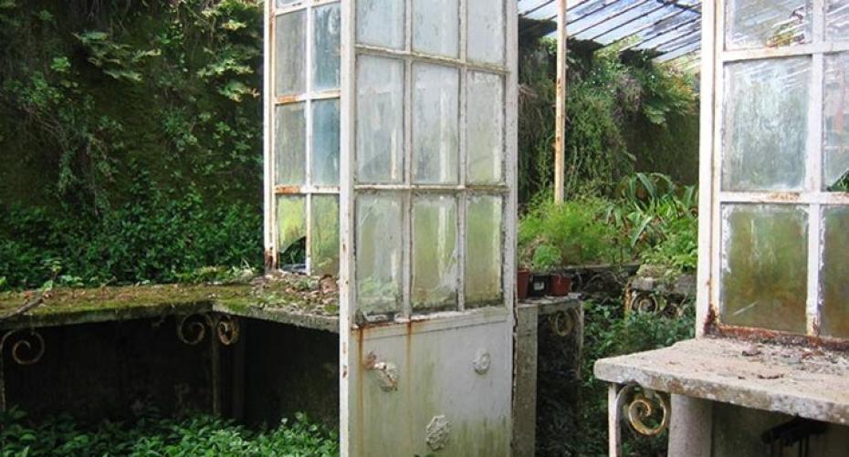 How To Maintain Your Greenhouse