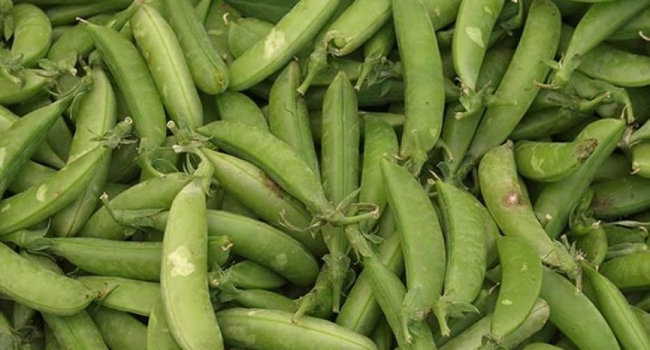 How do I grow peas and beans?