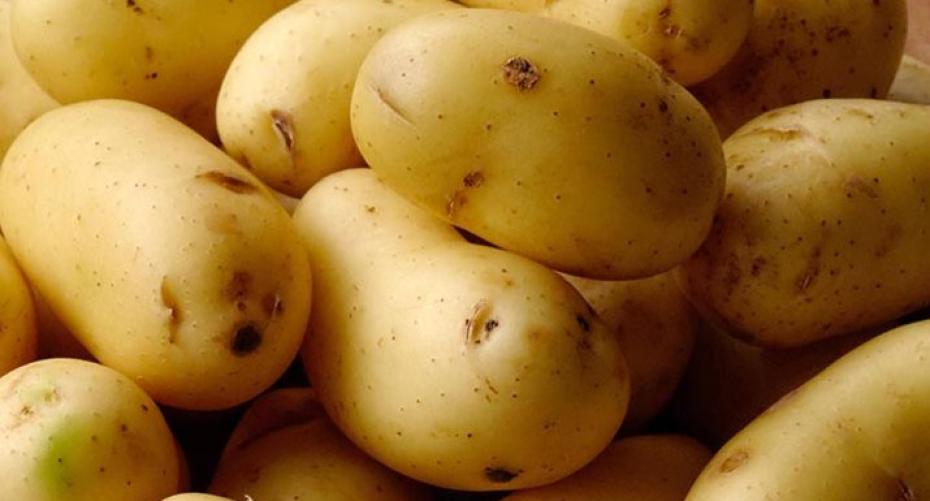 How To Plant First Early Potatoes In Bags And Containers