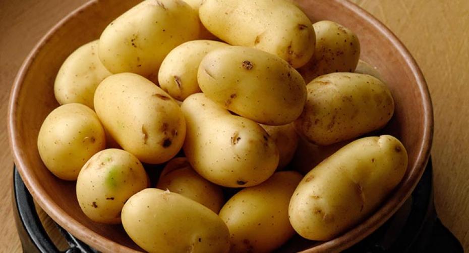 How To Grow Potatoes In Containers