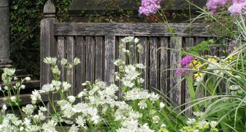 How To Create A Serene Space In The Garden