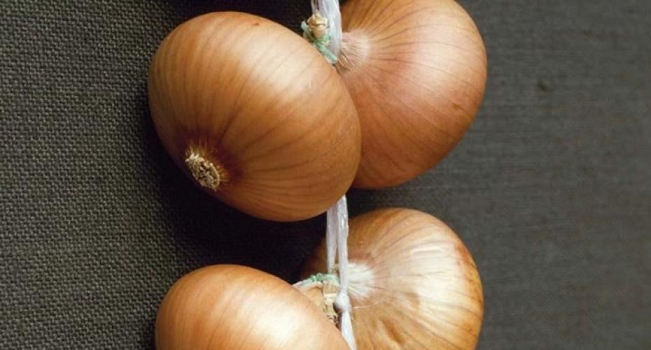 How To Plant Onion Sets In The Ground