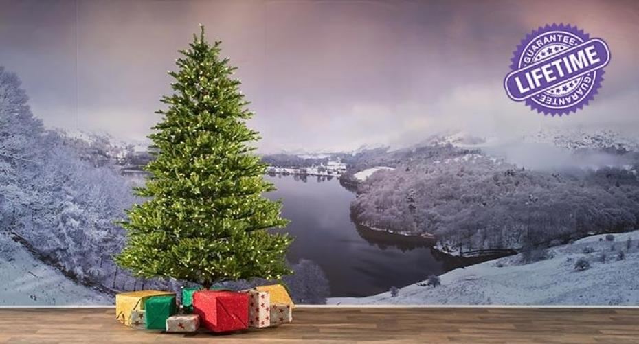What Is The Hayes Christmas Tree Warranty?