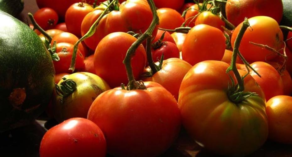 How To Plant Tomatoes In The Greenhouse