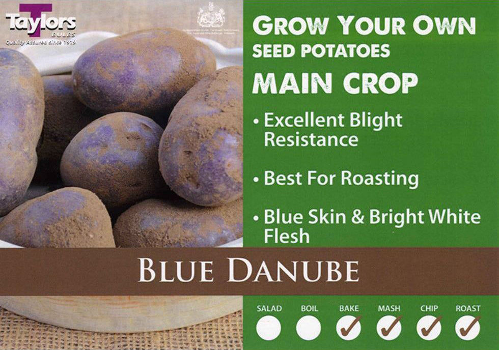 Blue Danube Main crop 2kg.jpg