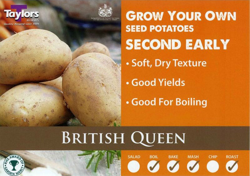British Queen second early 2kg.jpg