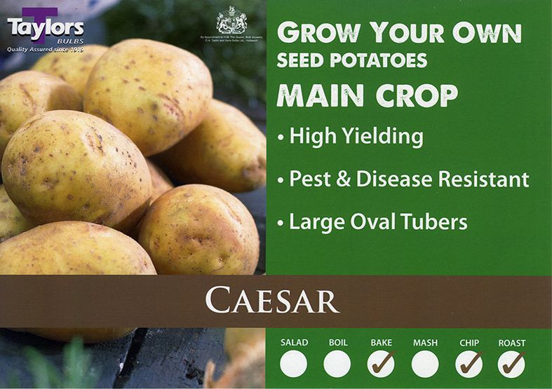Caesar main crop 2kg.jpg