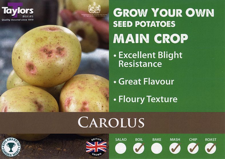 Carolus main crop 2kg.jpg
