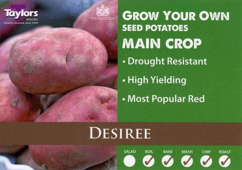 Desiree main crop 2kg.jpg