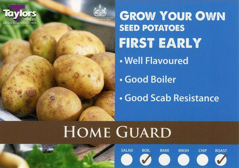 Home Guard first early 2kg.jpg