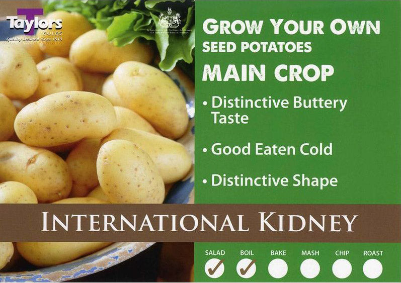 International kidney 2kg.jpg