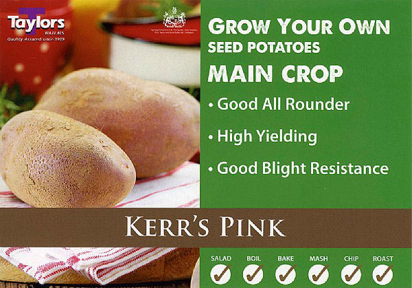 Kerrs Pink main crop 2kg.jpg