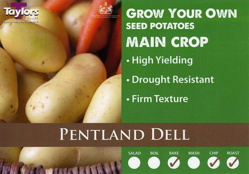 Pentland dell main crop 2kg.jpg