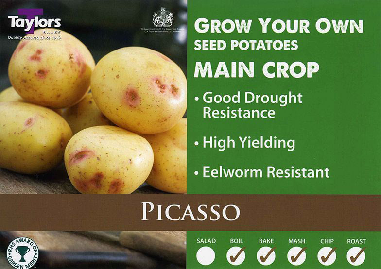 Picasso main crop 2kg.jpeg