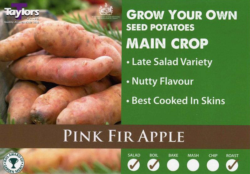 Pink fir apple main crop 2kg.jpg
