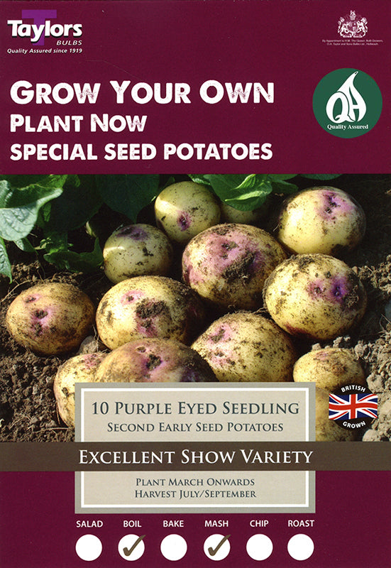 Purple Eyed Seedling taster pack_0.jpg