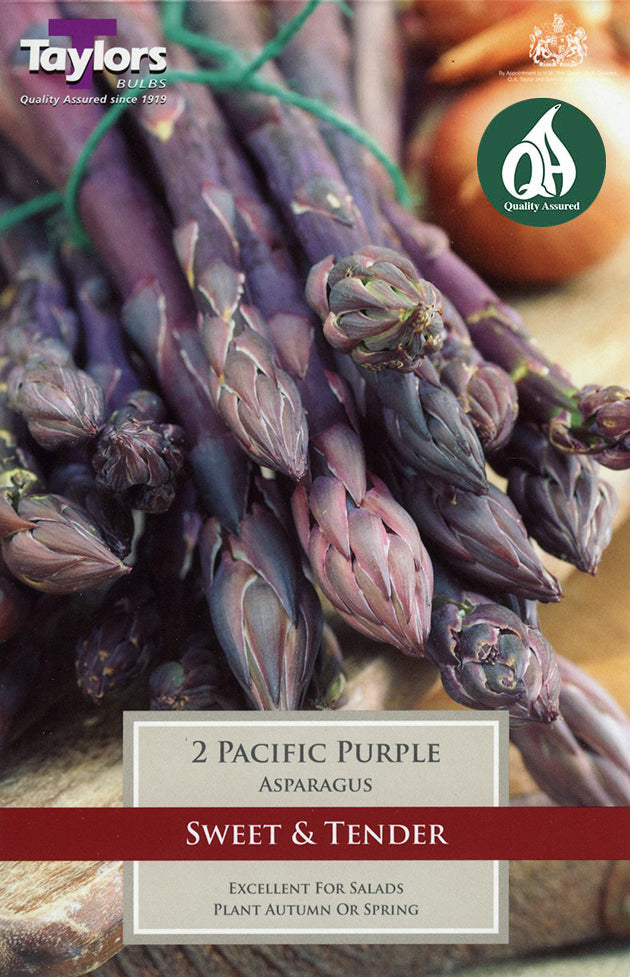 SVEG10 Asparagus Pacific Purple_0.jpg