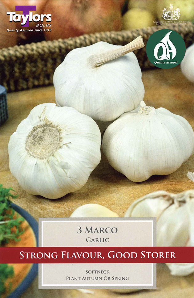 SVEG1 Garlic Marco_0.jpg