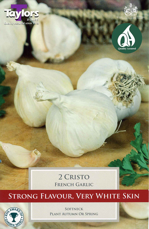SVEG9A Garlic Cristo_0.jpg