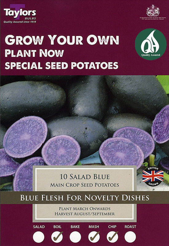 Salad blue taster pack_0.jpg