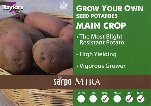 Sarpo Mira main crop 2kg.jpg