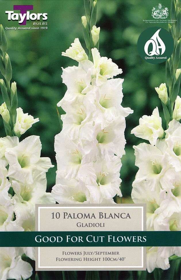 TS151 Paloma Blanca_0.jpg