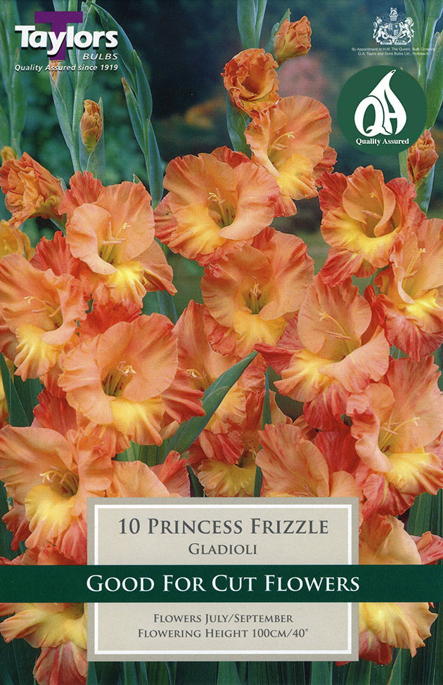 TS158 Princess Frizzle_0.jpg