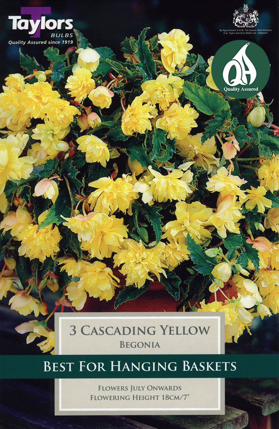 TS221 Cascading Yellow_0.jpg