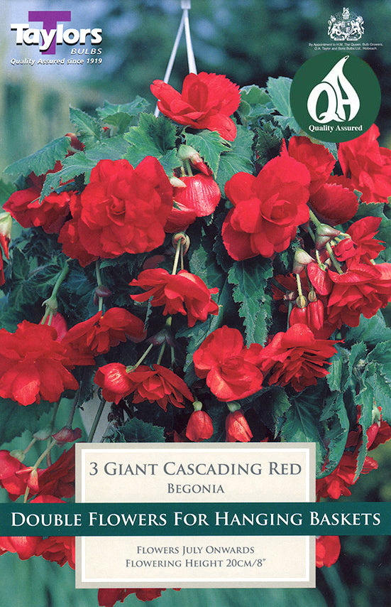 TS227 Giant Cascading Red_1.jpg