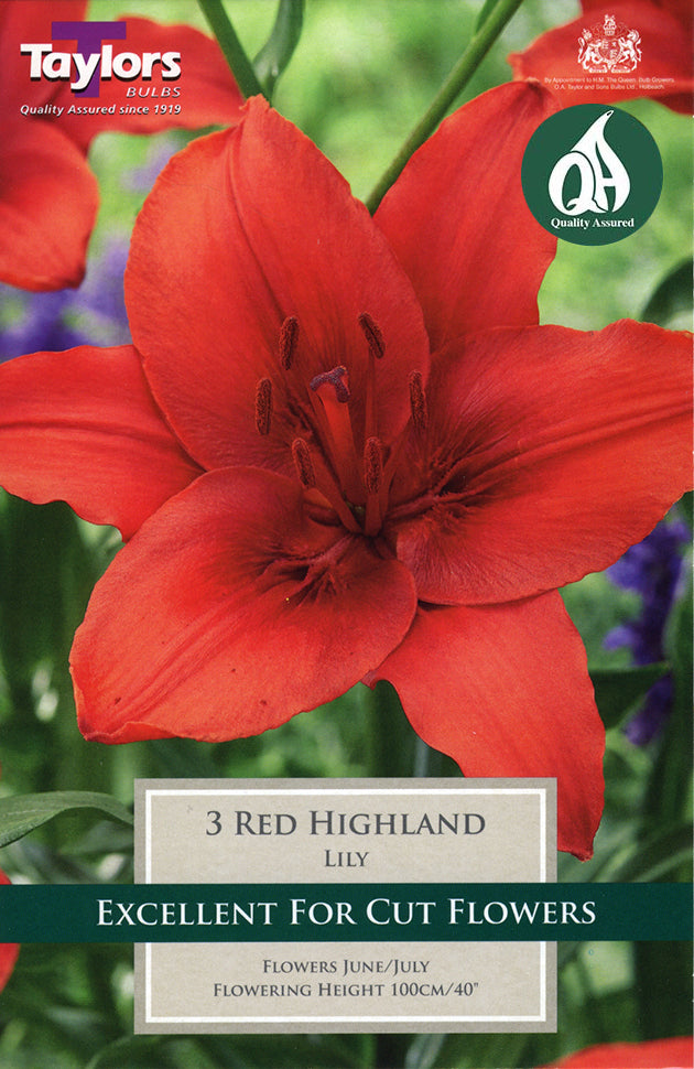 TS548 Red Highland_0.jpg