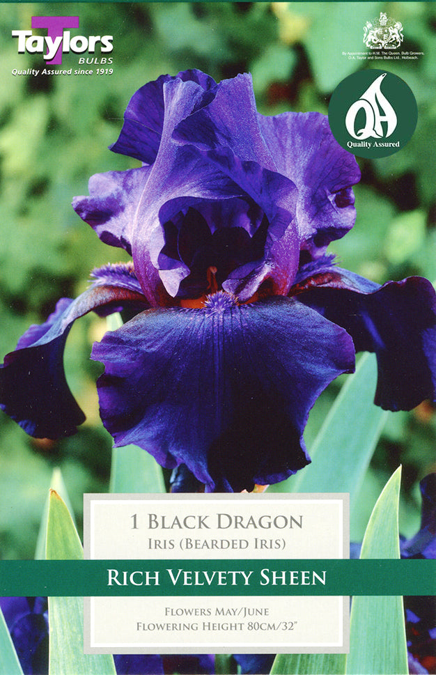 TS851 Iris Black Dragon_0.jpg